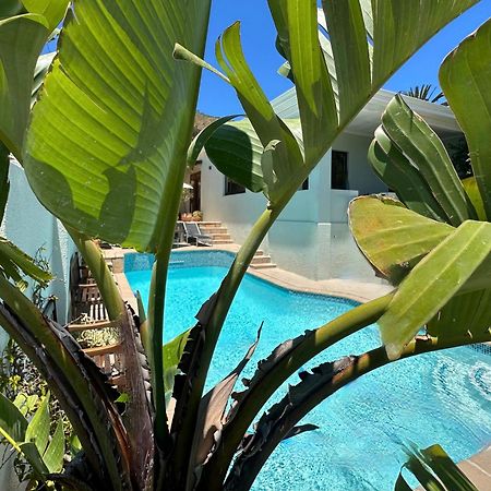 Loloho Lodge - 24H Solar Power Cidade Do Cabo Exterior foto