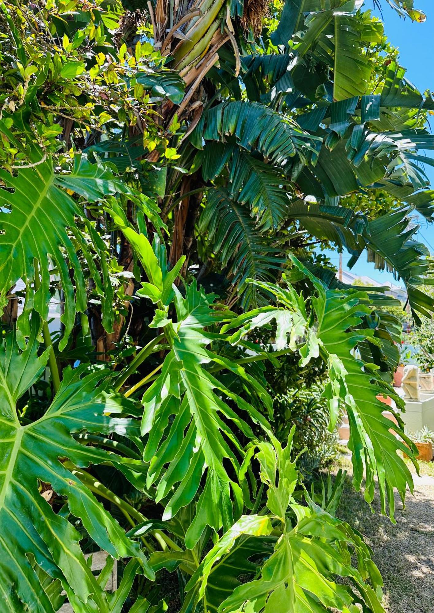 Loloho Lodge - 24H Solar Power Cidade Do Cabo Exterior foto