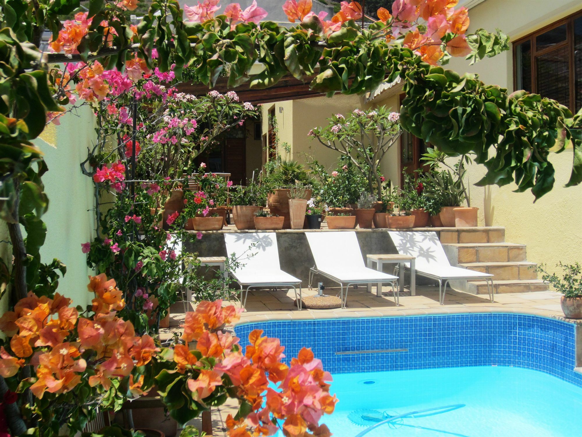 Loloho Lodge - 24H Solar Power Cidade Do Cabo Exterior foto